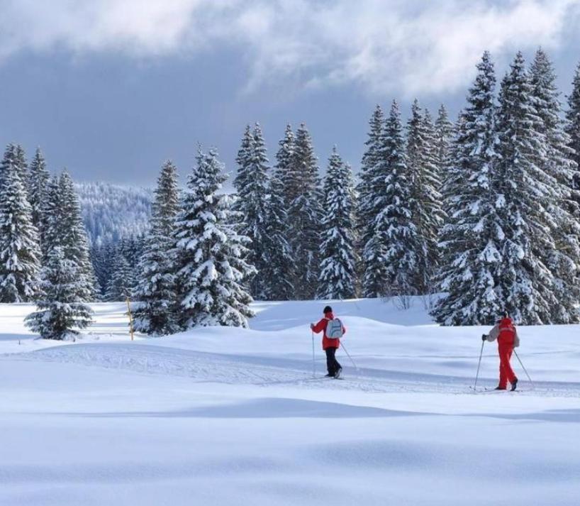 Gite Au Coeur Du Jura Entre Comte Et Vin Jaune, Gite Vin Jaune Chamole Εξωτερικό φωτογραφία